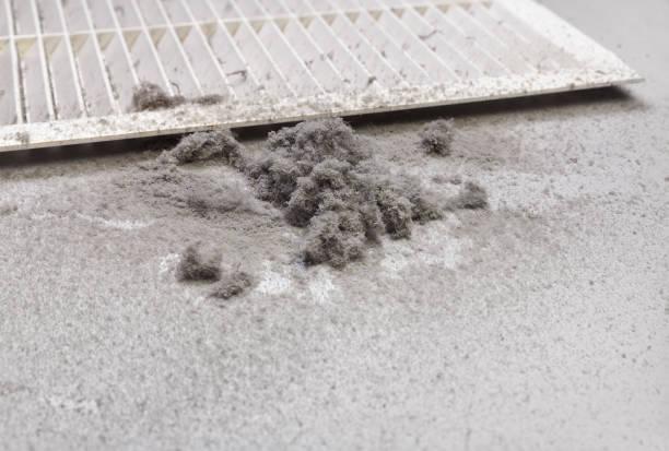 Professional Airduct Cleaning in IA