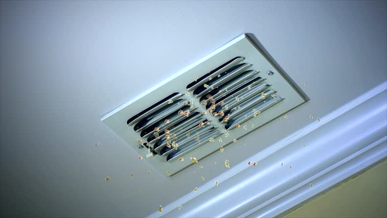 Best Affordable HVAC Duct Cleaning  in Knoxville, IA