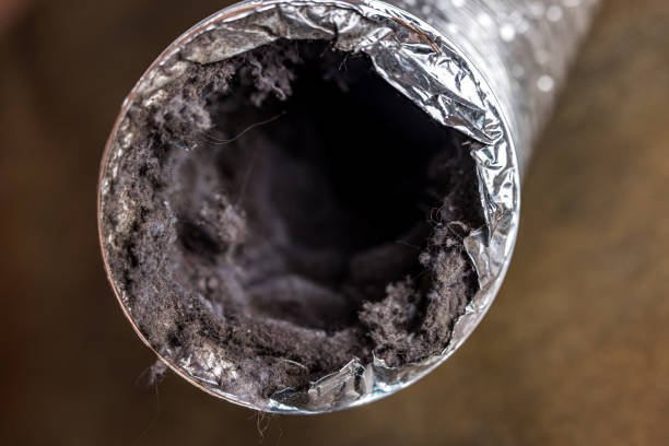 Air Duct Mold Removal in IA