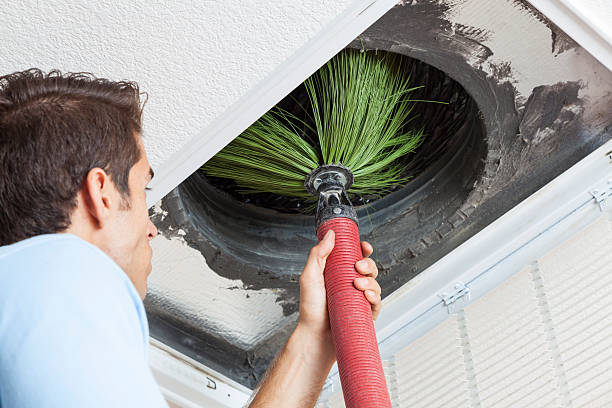 Best Air Duct Sanitizing Services  in Knoxville, IA